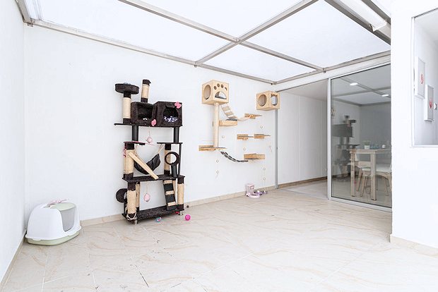 Terrasse der Wohnung