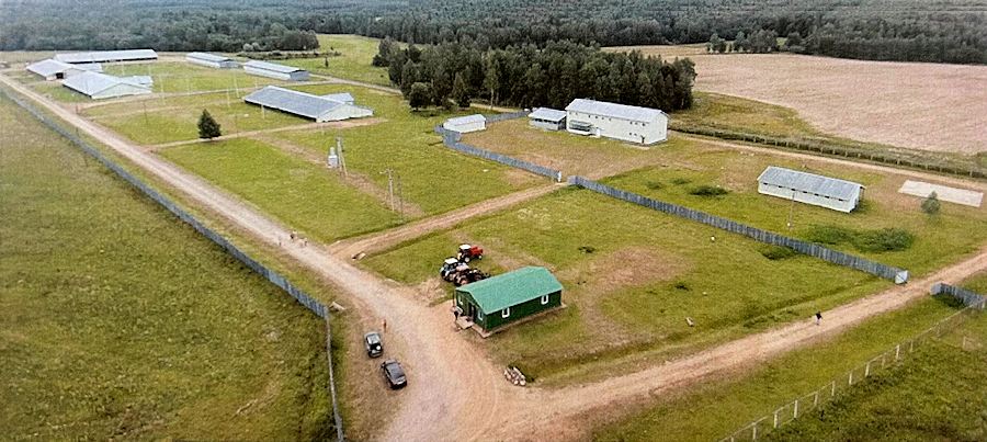 Schaffarm in Russland kaufen Schaffarm in Russland kaufen