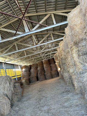 Heulager derSchaffarm Heulager derSchaffarm