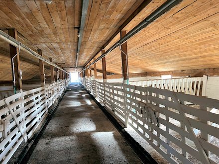 Stallung der Schafzucht Stallung der Schafzucht