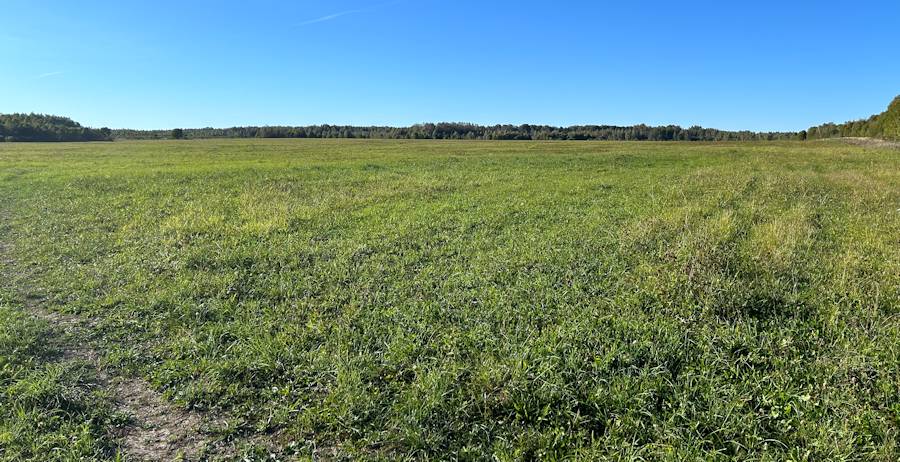 Farm zur Schafzucht in Russland Farm zur Schafzucht in Russland