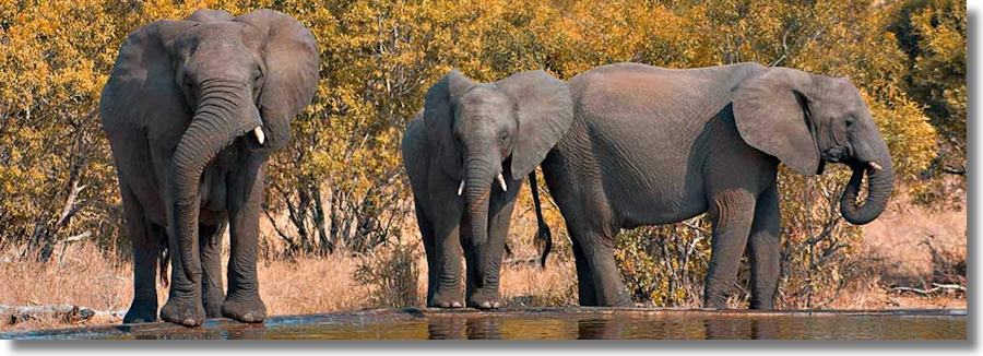 Sdafrika ein Land mit interessanten Immobilien