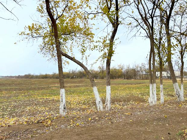 Baugrundst�cke f�r Einfamilienh�user in Krasnogvardeyskoye Insel Krim