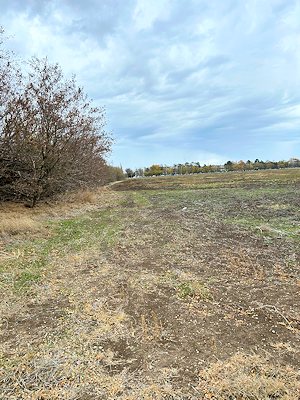 Grundst�cke f�r Hausbau auf der Krim