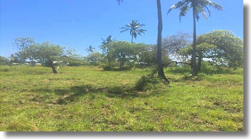 Bagamoyo Grundstck in Tansania