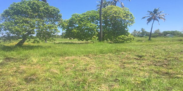 Baugrundstck Kingani Magomeni Tansania