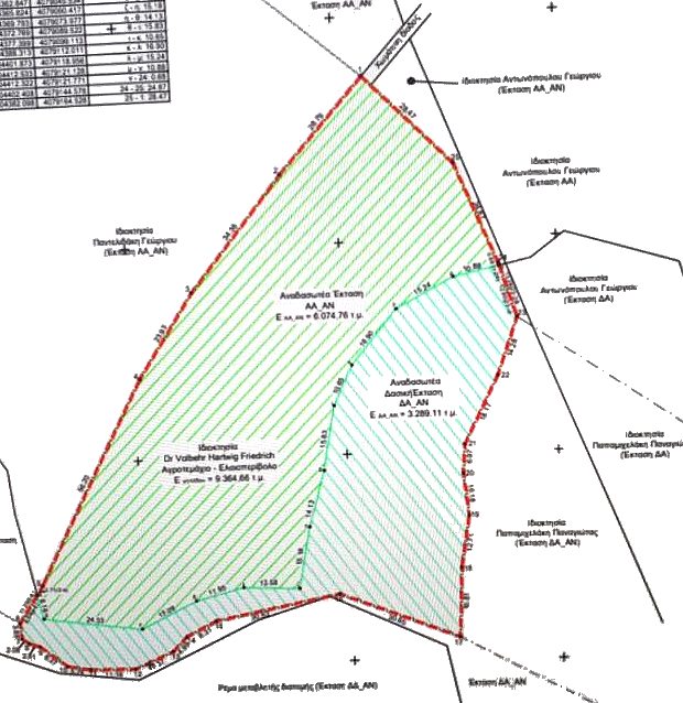 Olivenplantage in Griechenland Peloponnes