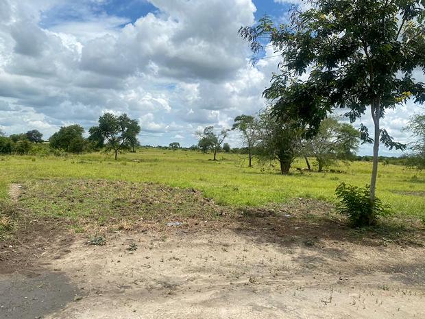 Bagamoyo Grundstck Baugrundstck in Tansania kaufen