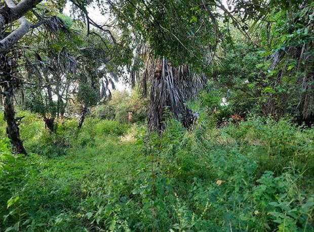 Grundstck bei Bagamoyo Tansania