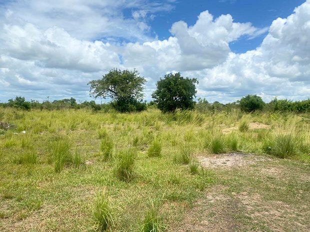 Grundstck Bauland bei Makurunge Tansania