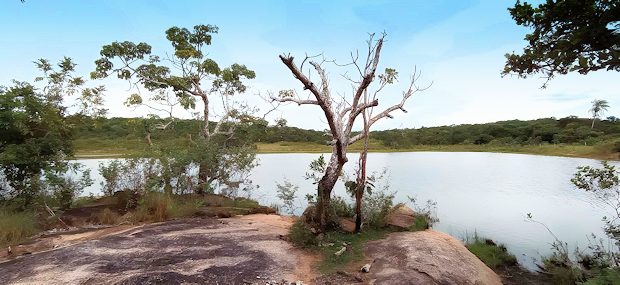 See auf dem Grundstück Farmland See auf dem Grundstück Farmland