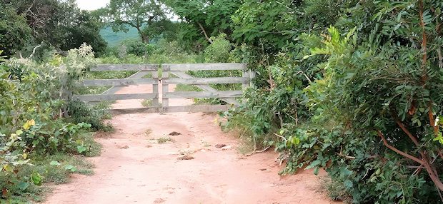 Farmland in Bolivien Farmland in Bolivien
