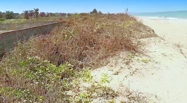 Strandgrundstck in Batokunku Gambia