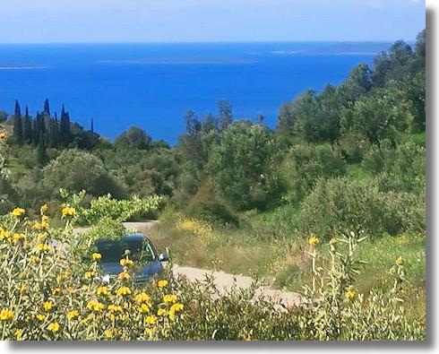 Kaplani Grundstck nah dem Meer und Strand zum Kaufen