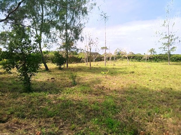 Bauland unweit vom Kinondo Beach