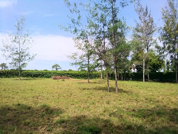 Grundstck in Keya bei Galu Beach zum Kaufen