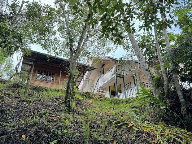 Haus in Hanlage im Naturwald von Peru