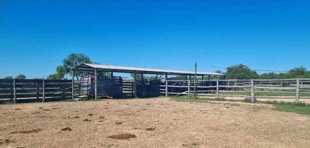 Farm in Pozo Colorado Paraguay Farm in Pozo Colorado Paraguay