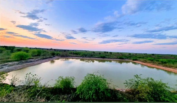 Teich Wasserspeicher der Farm in Presidente Hayes Paraguay Teich Wasserspeicher der Farm in Presidente Hayes Paraguay