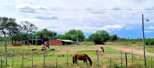 Pferderanch Farmbetrieb in Paraguay zum Kaufen Pferderanch Farmbetrieb in Paraguay zum Kaufen