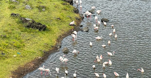 Uferfront der Ferienanlage