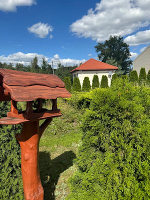 Garten der Villa in Nowe Miasto Polen