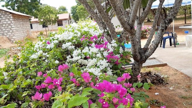 Terrasse vom Wohnhaus