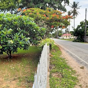 Grundstck ist ummauert