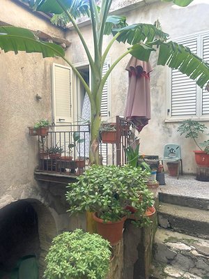 Innenbereich auf dem Grundst�ck des Wohnhauses nin Ciro