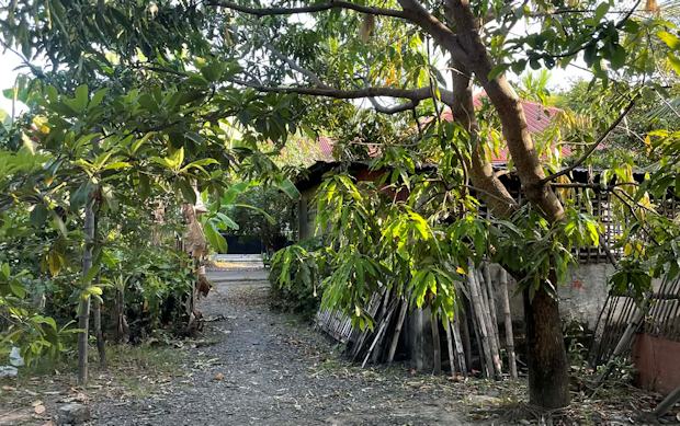 Weg zum Ausbauhaus auf Panay Philippinen