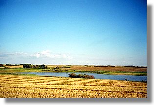 Farmland bei Dundurn Saskatchewan Kanada