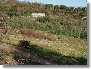 Baugrundstück in der Toskana bei Chianni