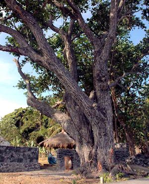 Grundstck am Meer der Insel Bali