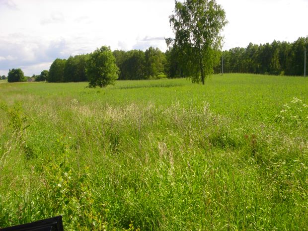Grundstcke am See mit Wald und Wiesen in Litauen