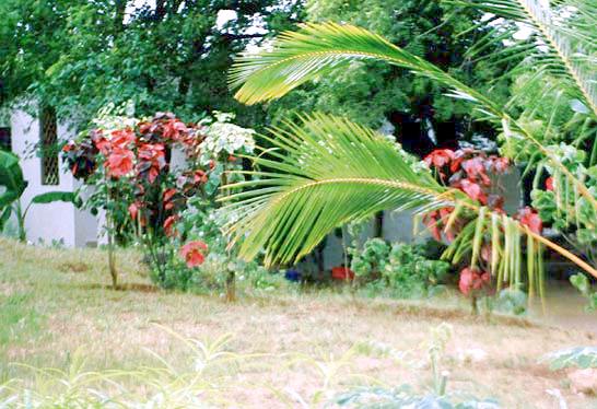 Wohnhaus mit Garten in Ukunda
