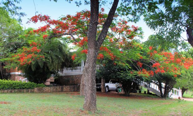 Villa der Ferienanlage in Paraguay
