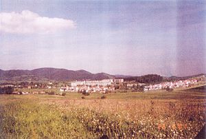 Grundstck in Gluszyca Niederschlesien