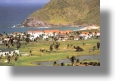 Immobilien der Insel Nevis vom Immobilienmakler