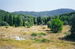 Grundstück auf Skopelos Griechenland
